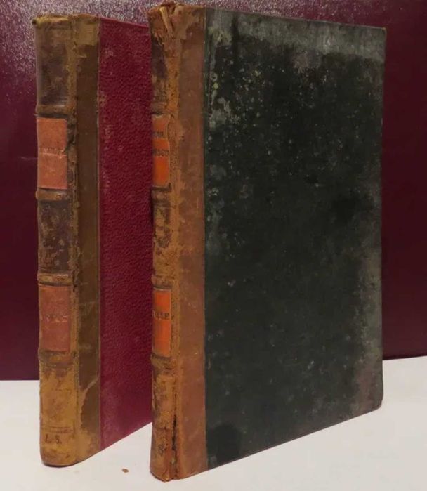 Mihai Eminescu Prima editie Fratii saraga