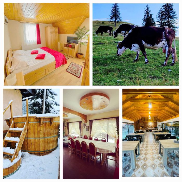 Pensiunea Valea cu brazi Dambovicioara