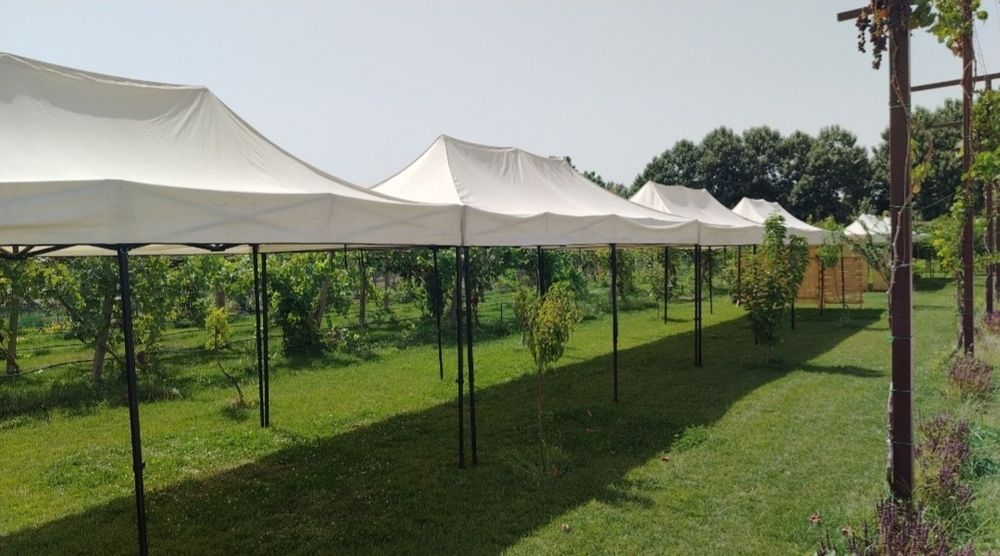 Naves toy va marosimlar uchun