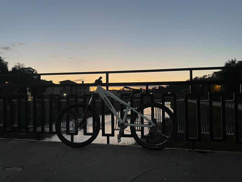 Bicicleta kona stinky