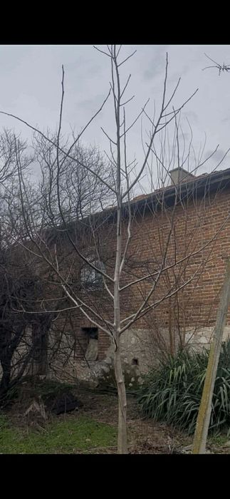 Продава се Къща в с. Мало Конаре, Област Пазарджик - 110 кв.м за 371 €/кв.м - Снимка #1