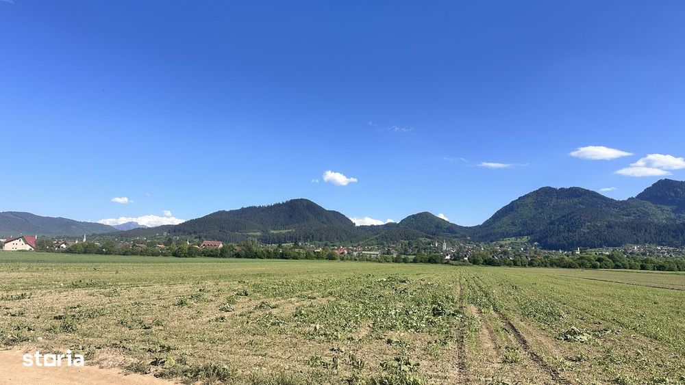 Loturi de grădină 400 mp - Săcele
