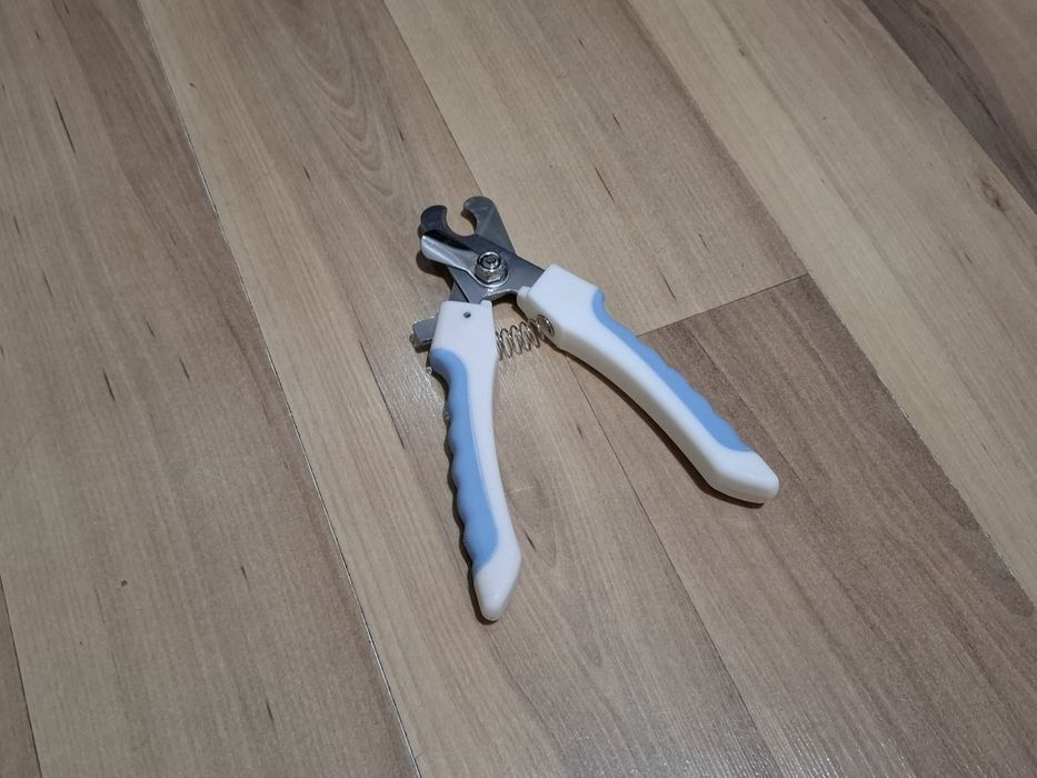 Раздача вещей для котят и кошек