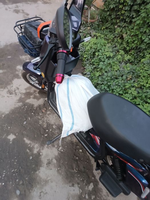 Skutirdi sotamiz  Holati zõr yurishi 70 80 yradi oledigonlar tele qils