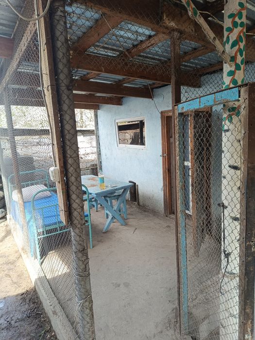 Продам два дома на одном участке