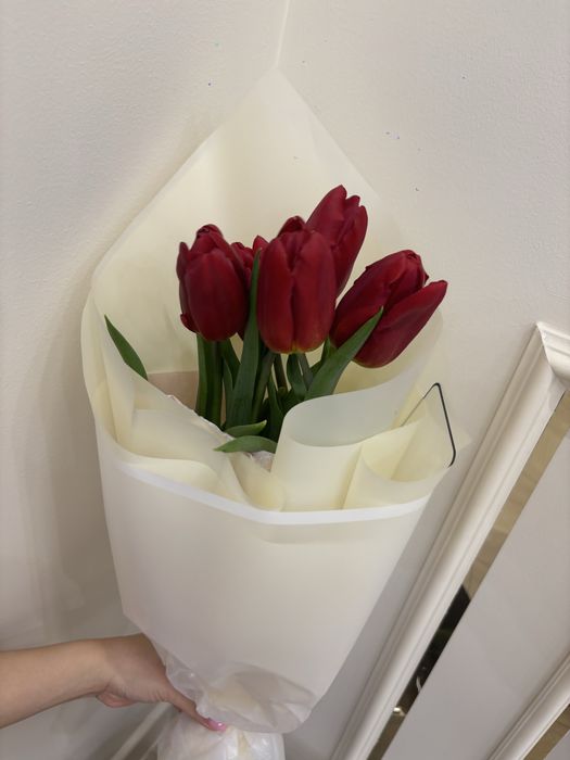 Тюльпаны 5 шт+1 в подарок