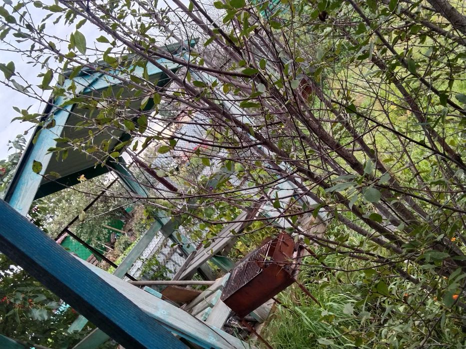 Продам дачу в с/о "Энергетик -1"