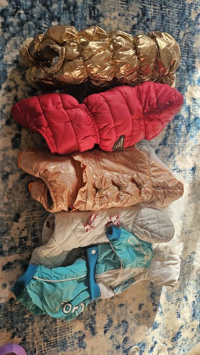 Одежда для собак