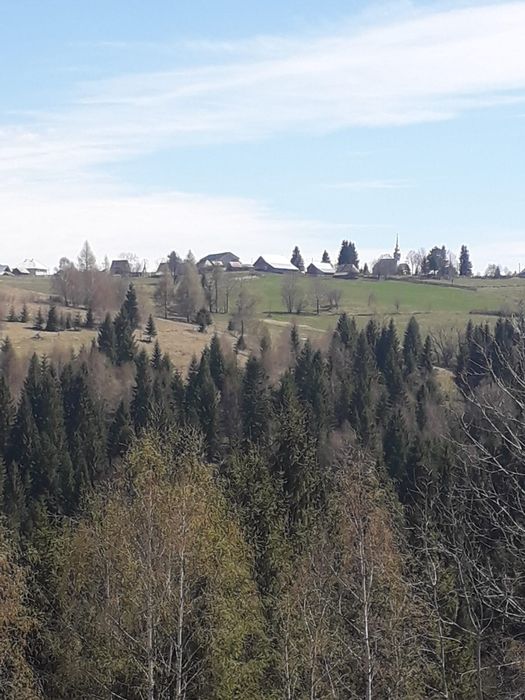 Vând teren în Maguri, Cluj