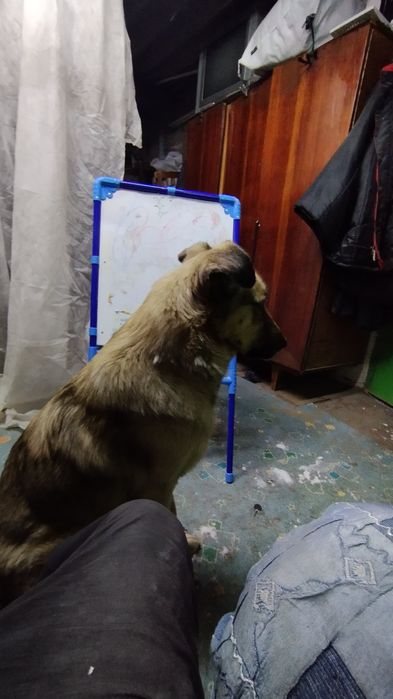 Доска детская 2500