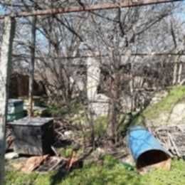 УПИ с постройки в с.Оряховица