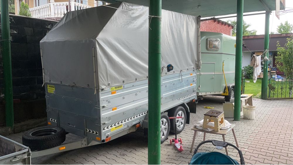 Коневозка перевозка лошадей