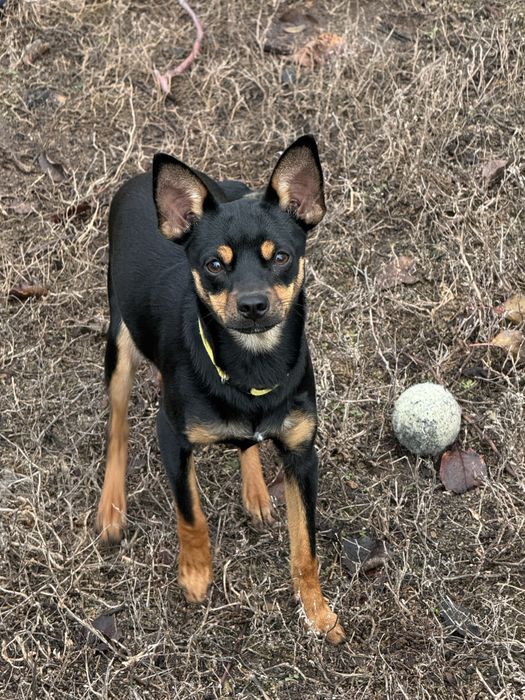 вязка кабеля тойчик