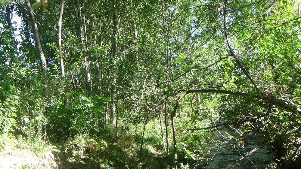 Бизнес учун ер жой