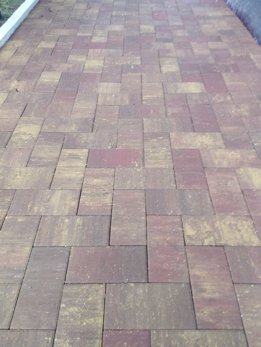 Бурусчатка вибра присовни