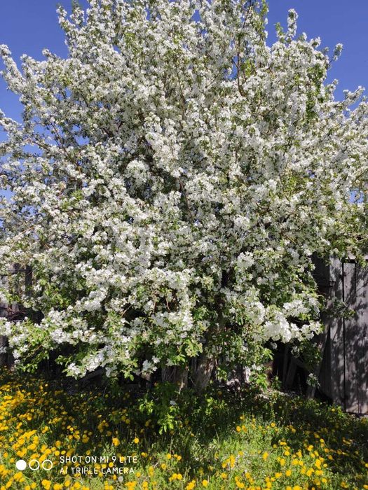 дача на федоровском водохранилище