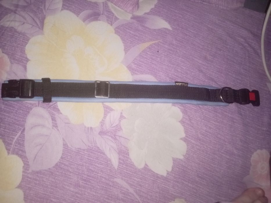 Ошейник для собак