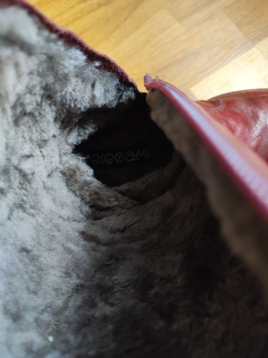 Сапоги зимние Elegami (Москва)