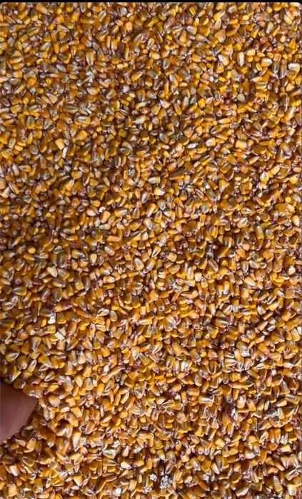 Vand graunte productie anul 2025