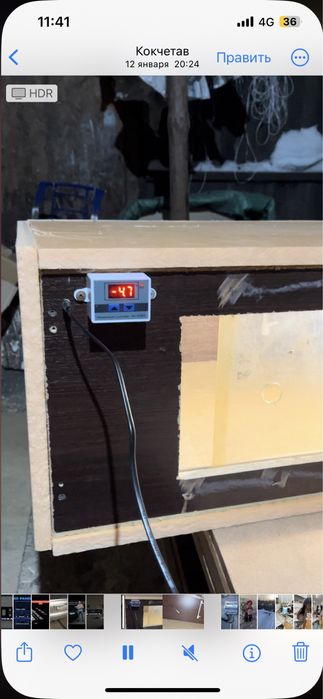 Брудер для цыплят