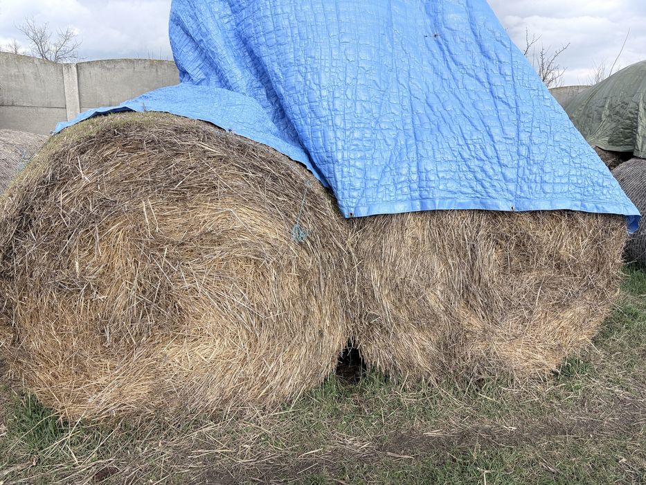 Baloți de tulei 40 de buc !!