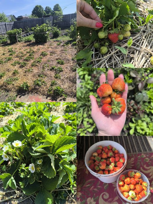 Продам дачу Геолог