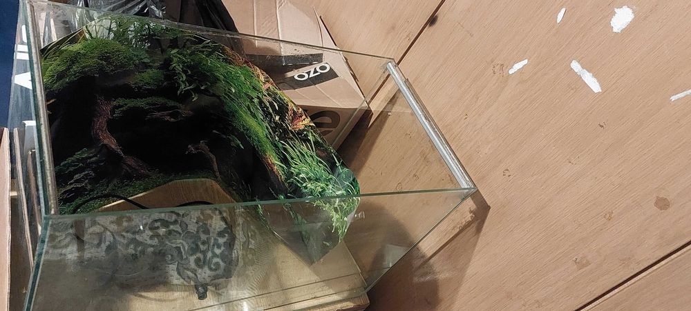 Аквариум 50 л с нови камъни, филтър SunSun, и анубиас