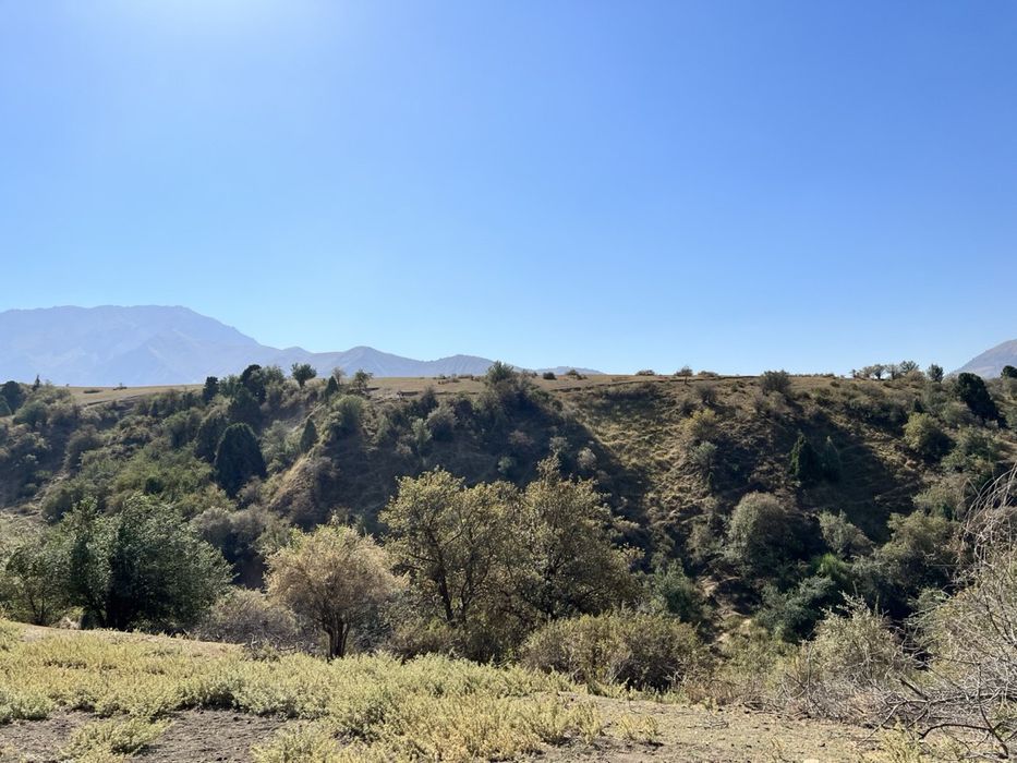 СРОЧНО! Продаётся уникальный земельный участок в горах Чимгана!