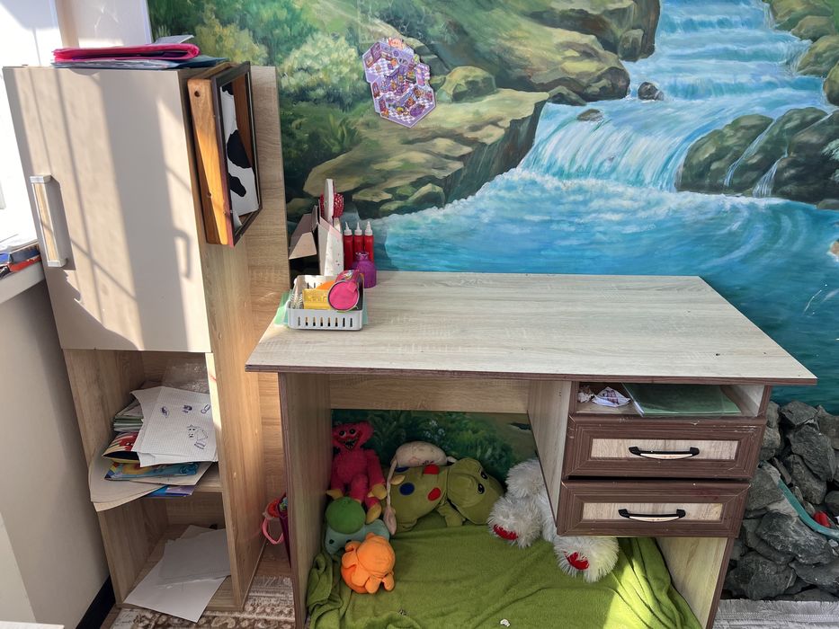 Шкаф и кровать , письменный стол.