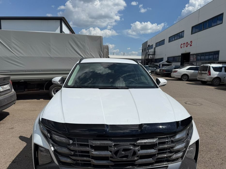 Мухобойка SIM на Hyundai Tucson 2021+