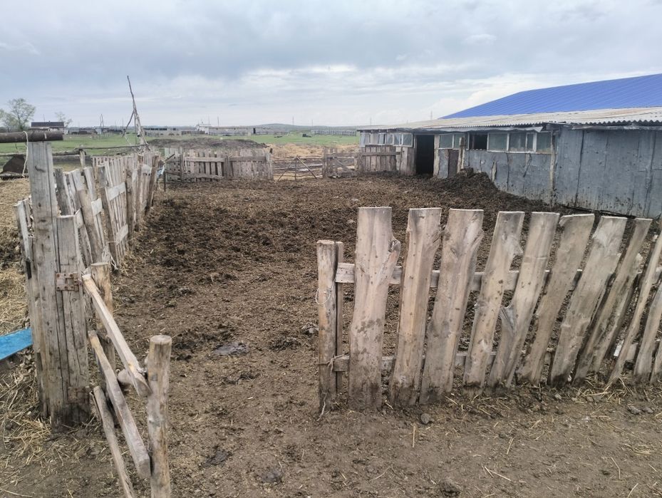 Продам дом в селе Ивановка