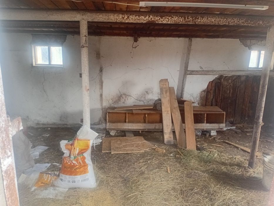 Продам земляника