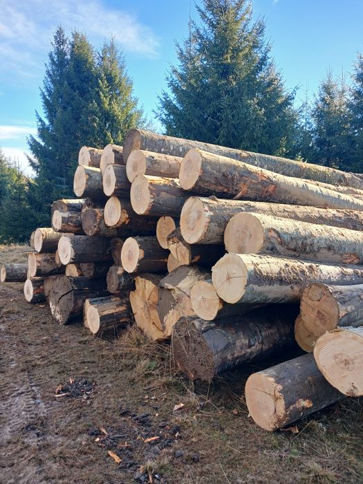 Vand bustean gater fag