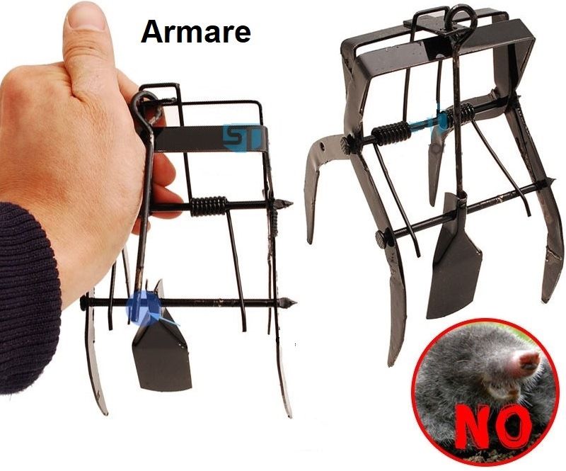 Cursa cartite ! Produs nou ambalat!