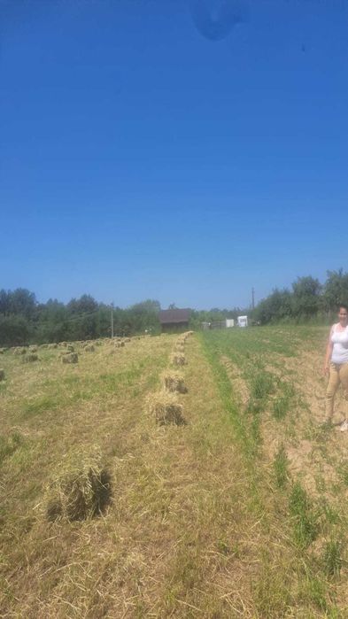 Vând baloți lucernă și fân – 15 lei/balot – Cuca, Argeș