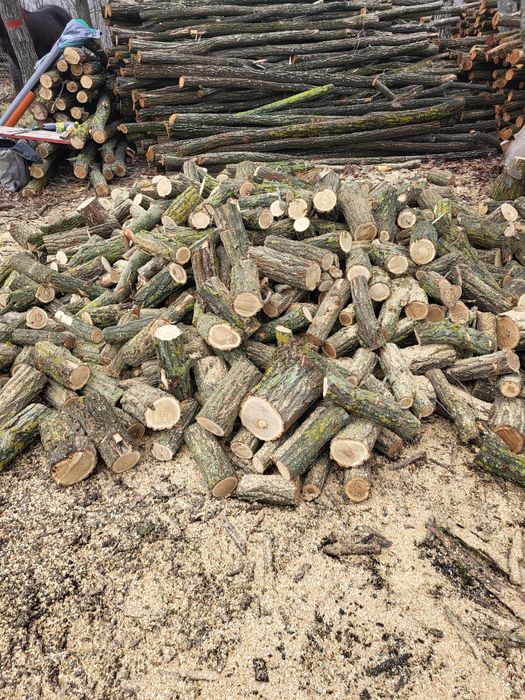 Lemn de foc salcam și stejar