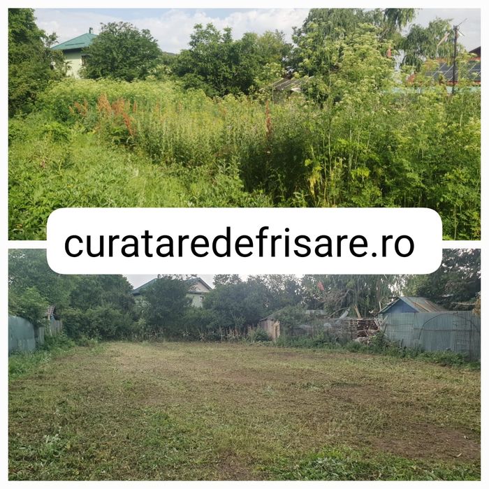 Curatare teren, Eliminare Ambrozie, Salubrizare, Tocare vegetatie,