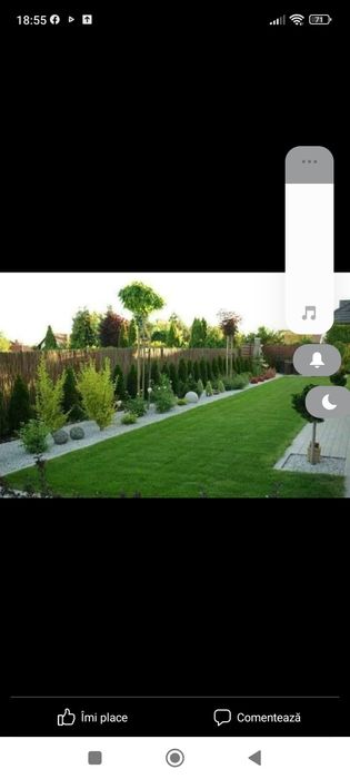 Bambus,scoruș de munte