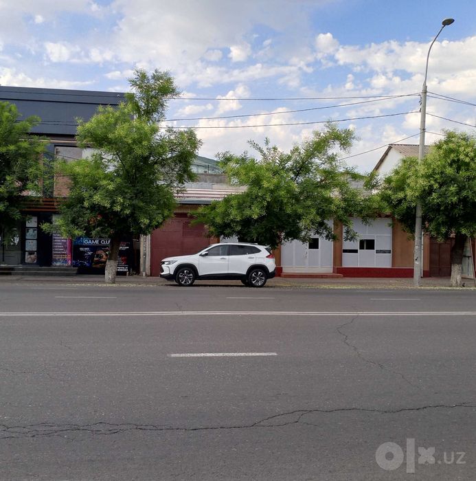 Срочно продаётся дом 4,5 сотки Рисовый_Магнит_1 линия