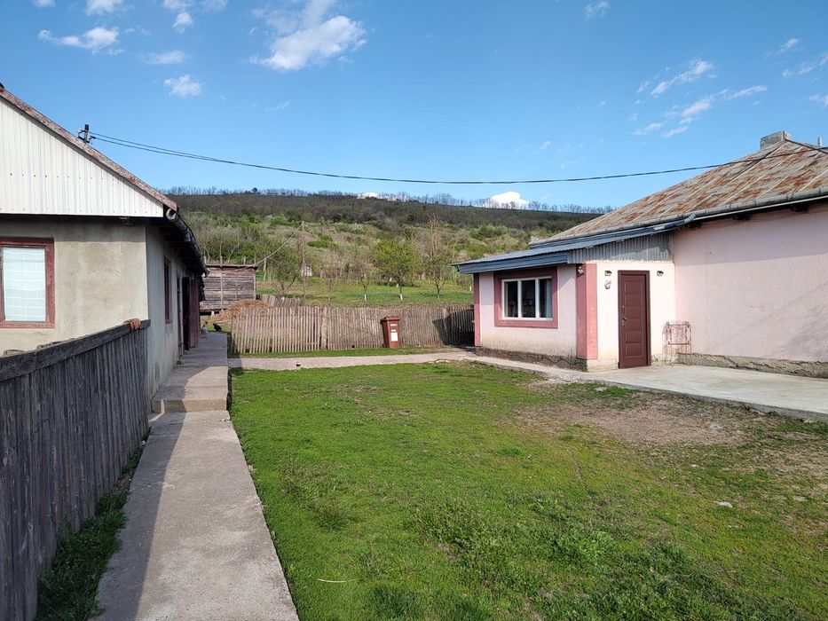 Casă și teren de vânzare în județul Iași - View 2