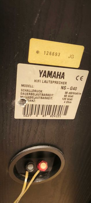 YAMAHA NS-G40 двулентови тонколони отворен обем