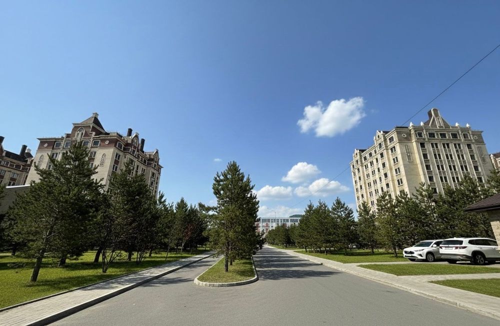 Озеленение посадка