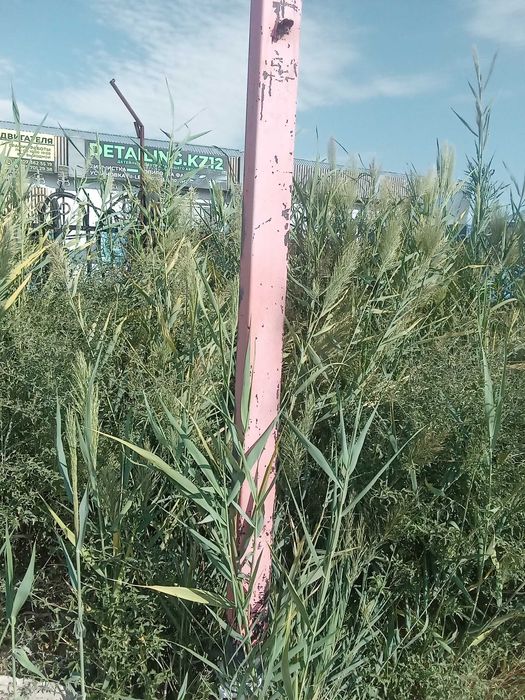 Продаю проф трубу