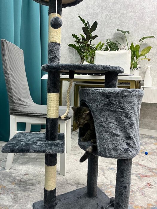 Игровая для котов