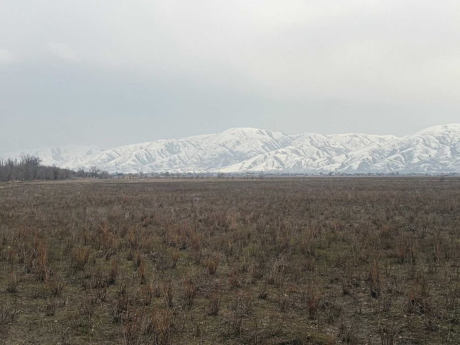 Участок 100 соток