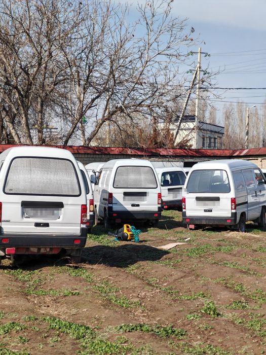 Дамас Ван 2020 год