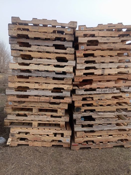 Поддон сатылады или обмен койга