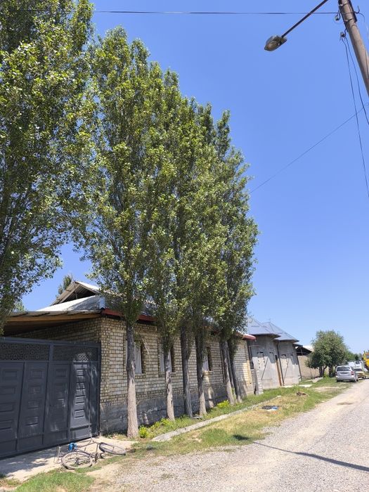 Terak kesib reka stropila qisayam boladi
