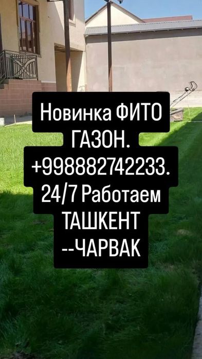 Акция на рулонный газон.