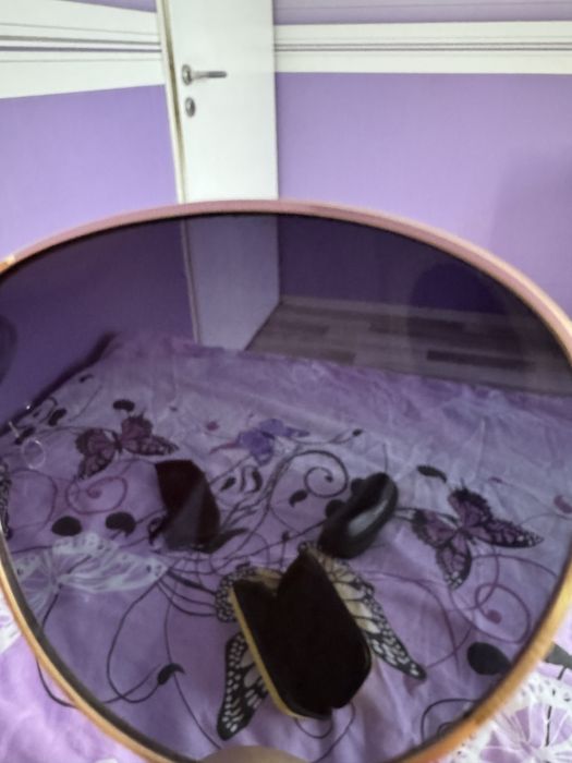 Слънчеви очила Vogue и Polaroid